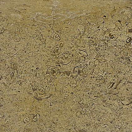 Coral Marble - Zarqun Marble